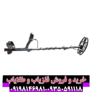 فلزیاب آنفیبیو